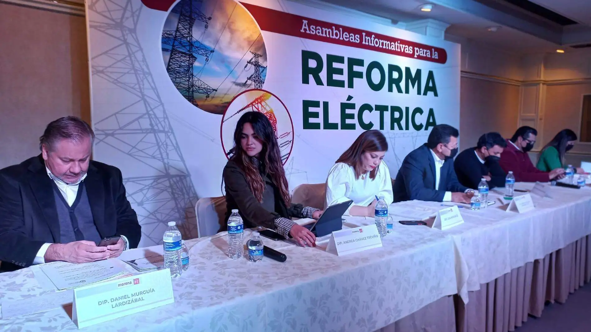 asamblea sobre la reofmra electrica